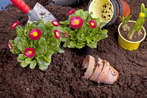 Professional garden clearance by Allans Gardeners