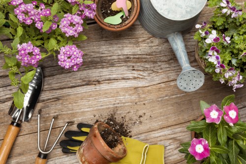 Selection of native plants suitable for Coogee