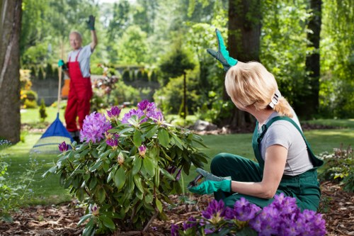 Natural pest control methods in a garden in Eltham North