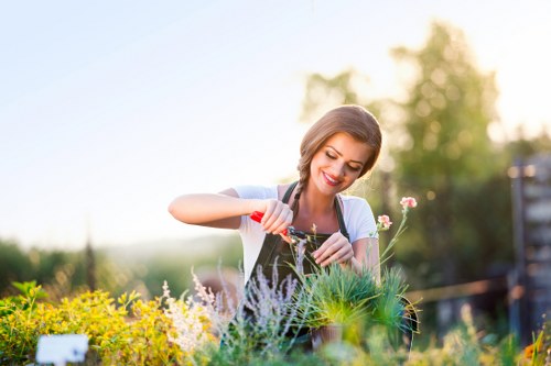 Professional pruning service in Mitchelton