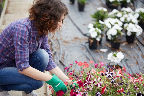 Effective weed control methods in Green Valley gardens