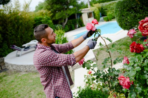 Gardener weeding and pruning plants in a Jacana backyard