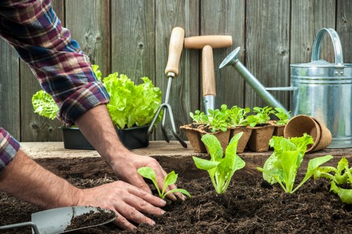 Eco-friendly pest control measures in a Port Melbourne garden