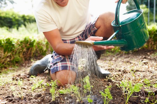 Seasonal garden care in Waterloo