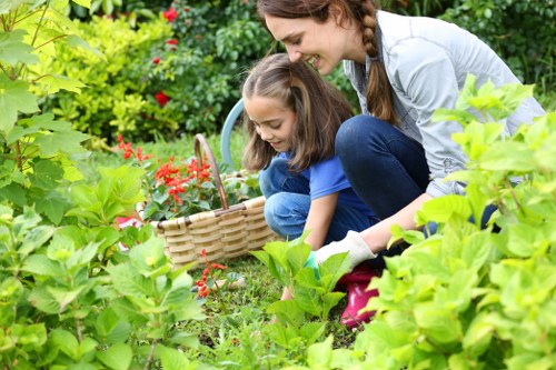 Beautiful garden in Narre Warren showcasing vibrant plants and greenery