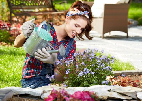 Lush lawn maintenance in Palmyra