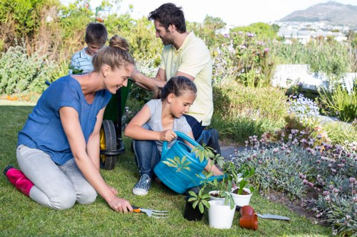 Professional lawn care services