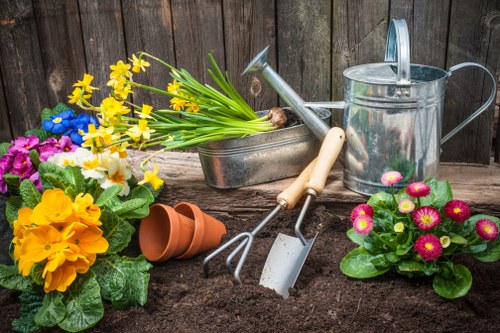 Professional gardener tending plants