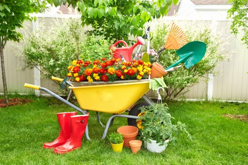 Beautiful garden in Mount Druitt with lush greenery