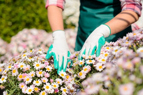 Seasonal garden maintenance activities in Mulgrave