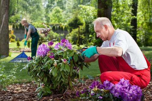 Flourishing plants in a Balwyn North garden