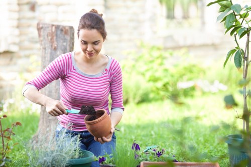 Seasonal garden care ensuring year-round beauty