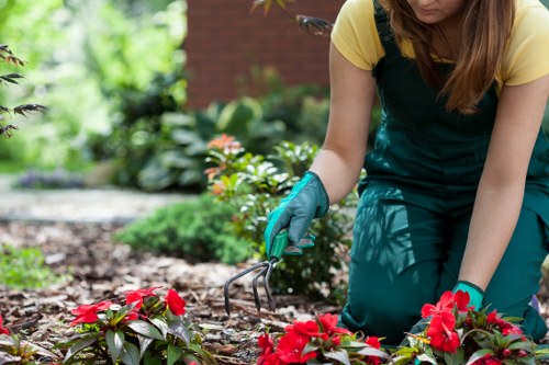 Eco-friendly garden with native plants and mulch