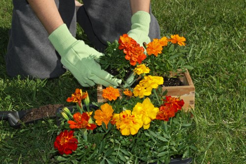 Seasonal garden maintenance activities being performed by experts in Blacktown