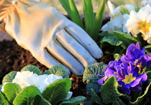 Blacktown garden in spring with blooming flowers and fresh greenery