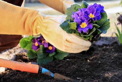 Seasonal garden maintenance activities