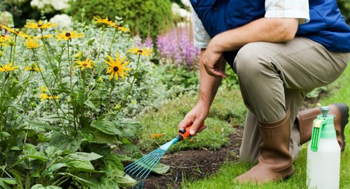 Healthy garden soil preparation in Manning