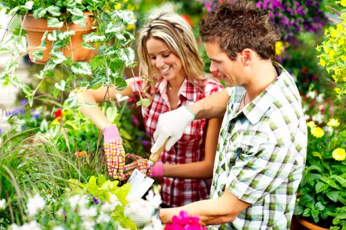 Choosing the right garden maintenance service