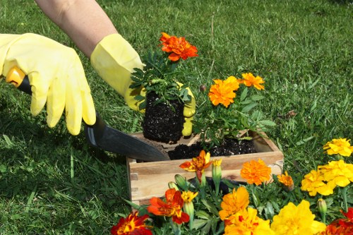 Professional gardener tending to a lush lawn in Swanbourne