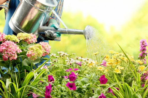 Elegant hardscaping features in a garden