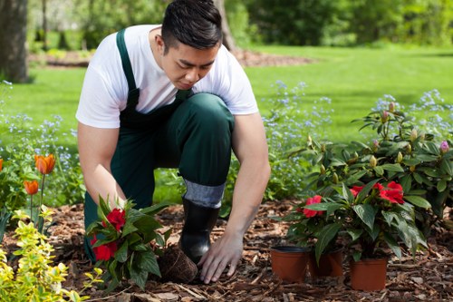 Efficient irrigation system installed by Allans Gardeners