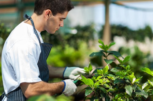 Professional gardeners at work in a lush garden