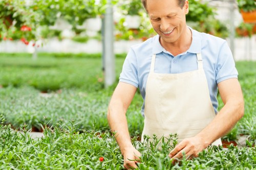 Gardener assessing hedge trimming needs