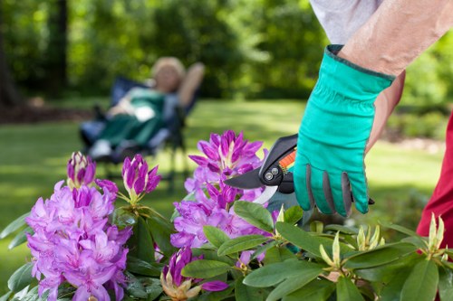 Advanced gardening equipment used in Colebee garden maintenance