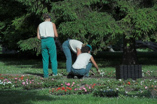 Vibrant plant selection in an Allans Gardeners project