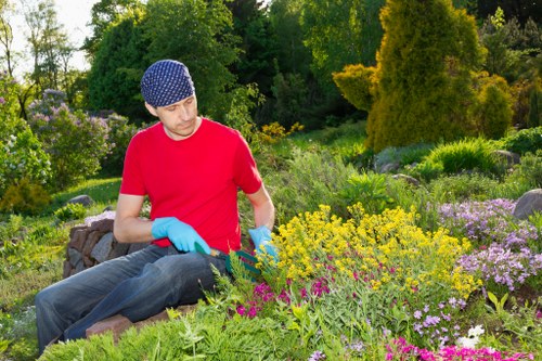 Pest management in a Doolandella garden