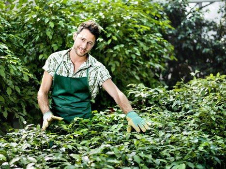 Professional gardeners from Allans Gardeners at work