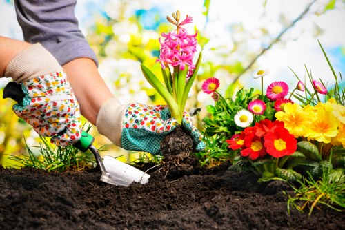 Professional garden maintenance services