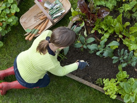 Efficient irrigation systems installation in Chermside