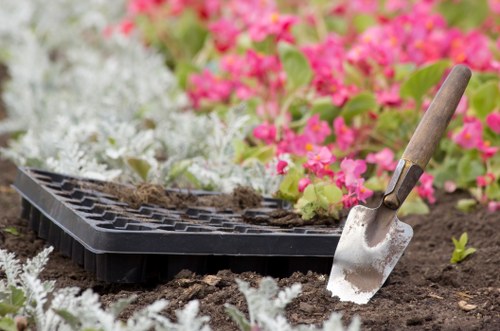 Garden pruning in Menai, highlighting meticulous trimming of plants for optimal growth.