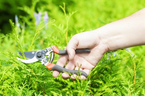 Allans Gardeners team performing lawn mowing