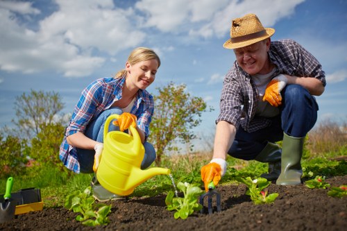 Seasonal garden care by Allans Gardeners