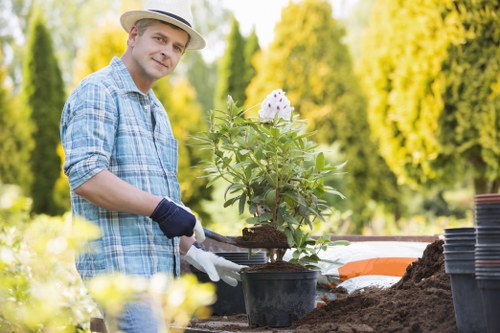 Pruning and trimming services in Chermside gardens