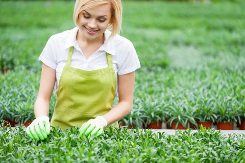 Professional garden maintenance services