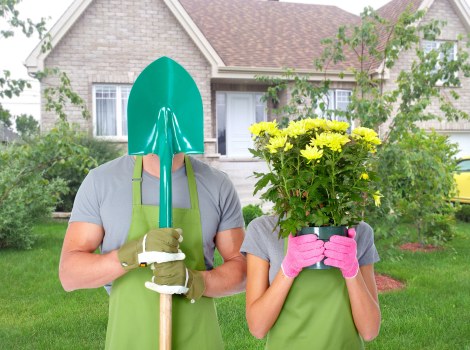 Tools and equipment used by Allans Gardeners professionals