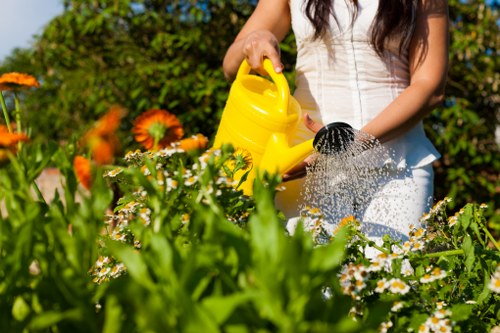 Lush outdoor garden space in La Perouse with healthy plants and manicured lawns.