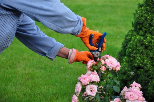 Effective pest control for Chermside gardens