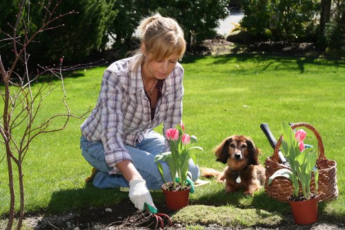 Variety of plants suitable for Doolandella gardens