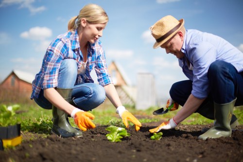 Proper watering techniques for gardens