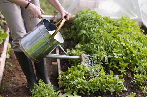 Lush garden maintained by Allans Gardeners