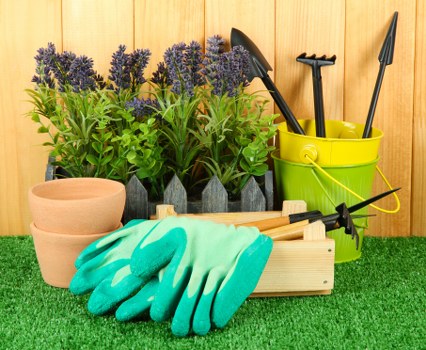 Selection of gardening tools and equipment used for garden maintenance in Macgregor.