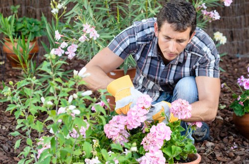 Experienced gardeners working in Princes Hill