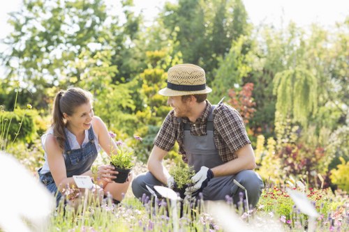 Professional gardener working on a lush garden in Blacktown with various plants